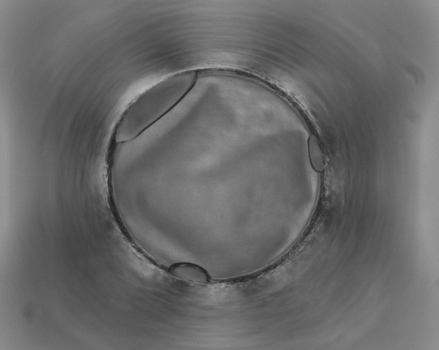 X0000113271072200910011423