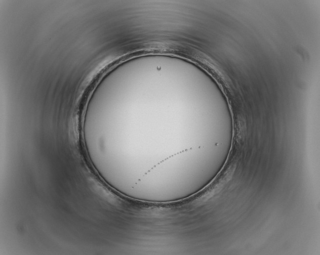 X0000113271075200910011423