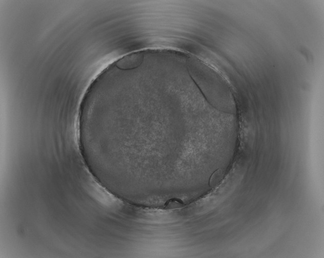 X0000113271076200910011423