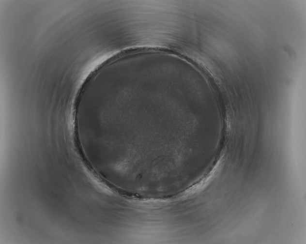 X0000113271077200910011423