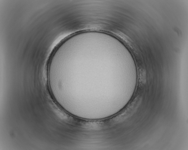 X0000113271078200910011423