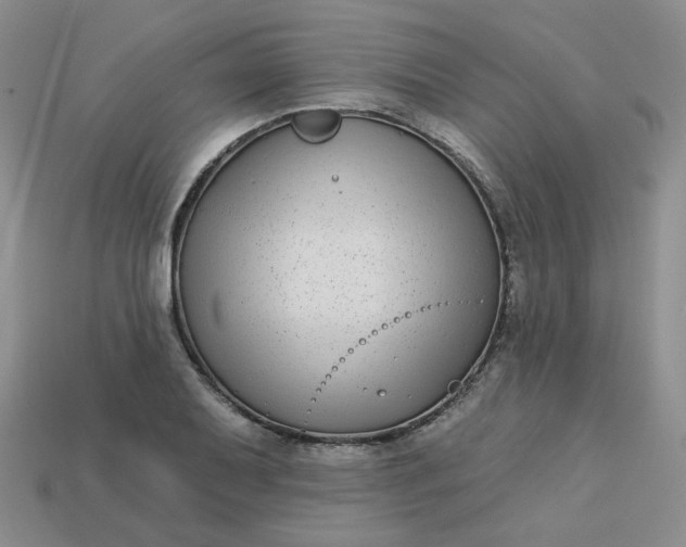 X0000113271079200910011423