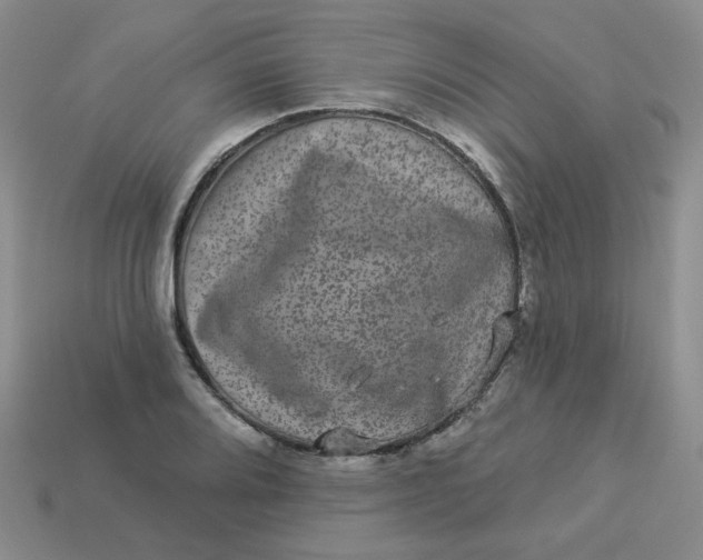 X0000113271080200910011423