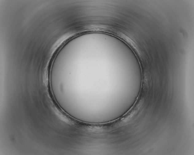 X0000113271082200910011423