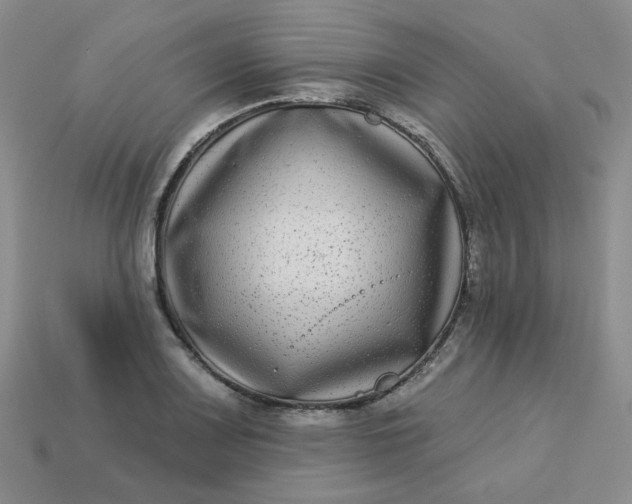 X0000113271083200910011423