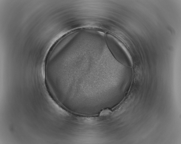 X0000113271084200910011423