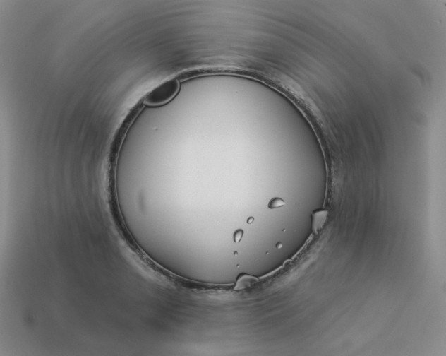 X0000113271085200910011423