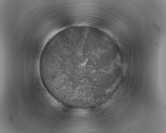 X0000113271086200910011423