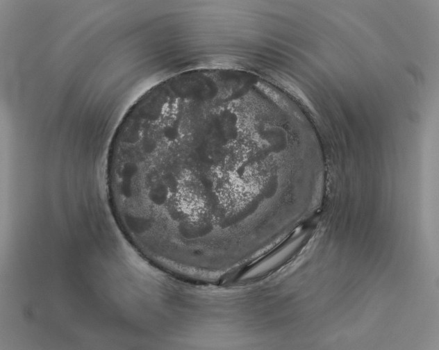 X0000113271087200910011423