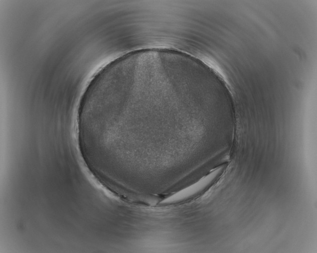 X0000113271088200910011423