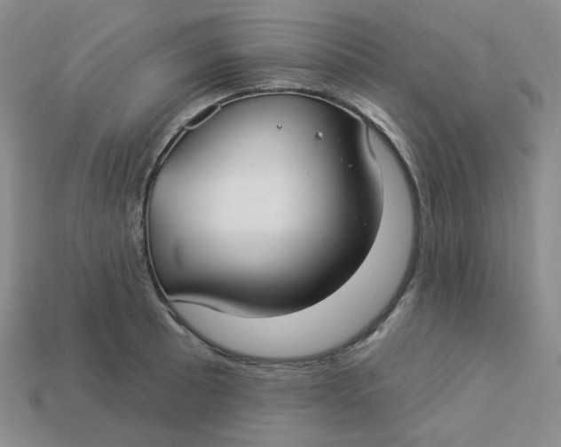 X0000113271089200910011423