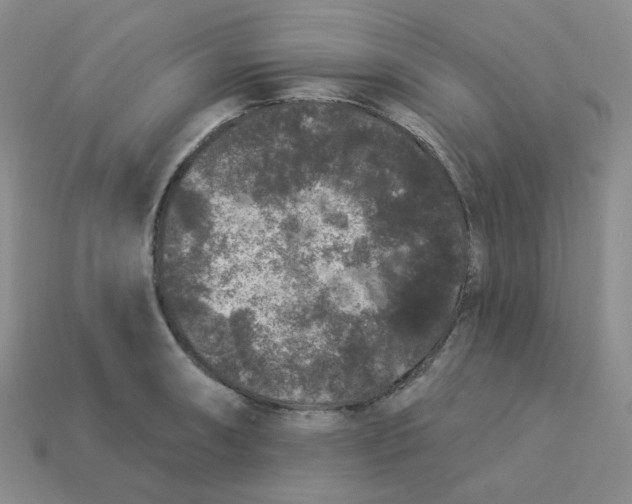 X0000113271090200910011423