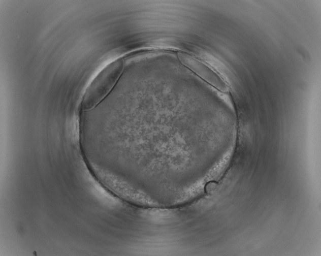 X0000113271092200910011423