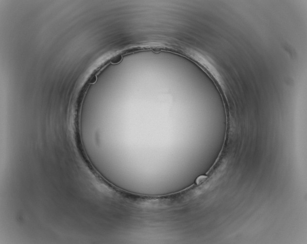 X0000113271093200910011423