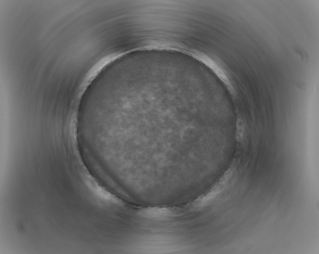 X0000113271094200910011423