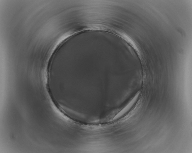 X0000113271095200910011423