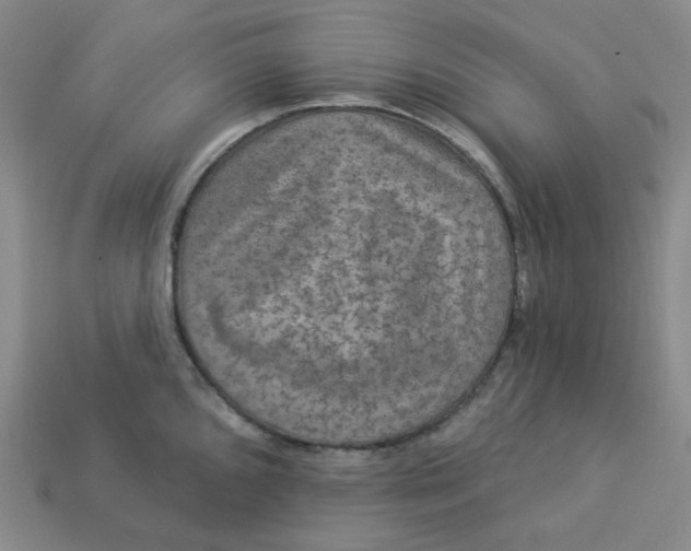 X0000113271096200910011423