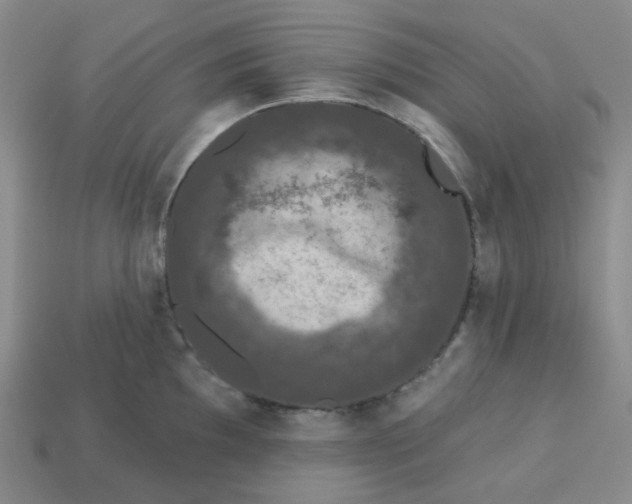 X0000113271097200910011423