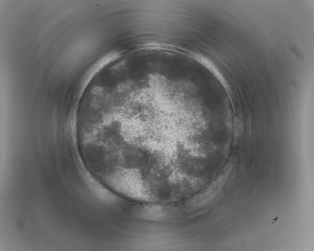 X0000113271098200910011423