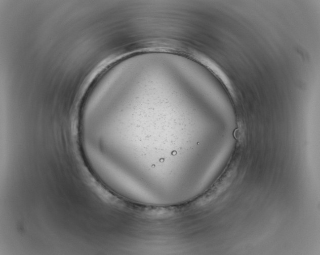 X0000113271099200910011423