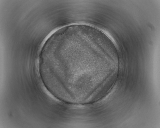 X0000113271100200910011423