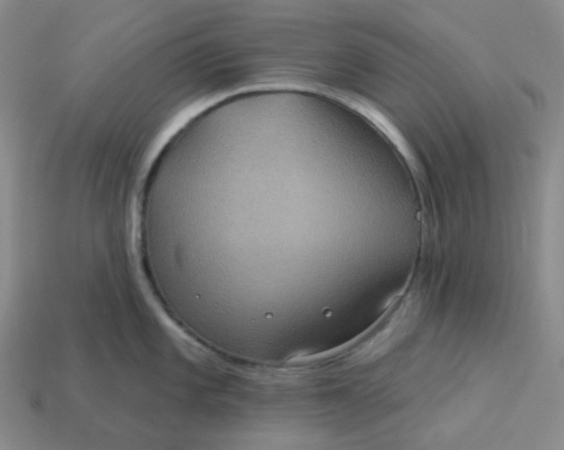 X0000113271101200910011423