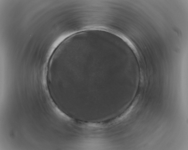 X0000113271102200910011423