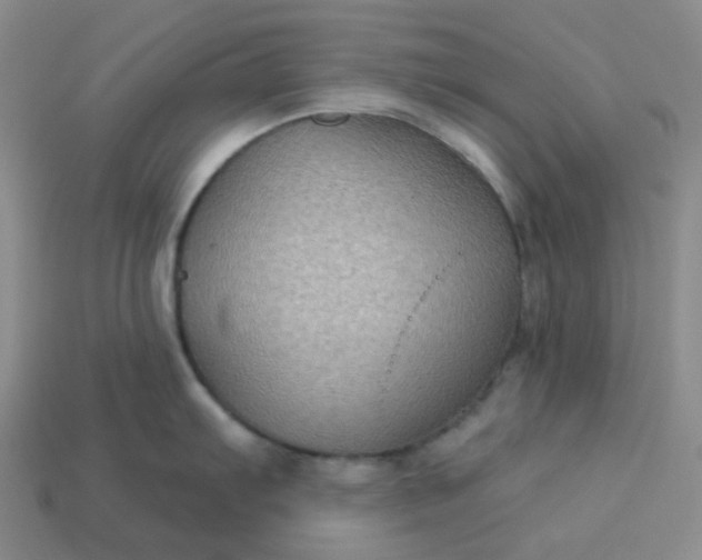 X0000113271103200910011423