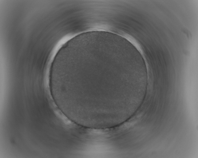 X0000113271104200910011423