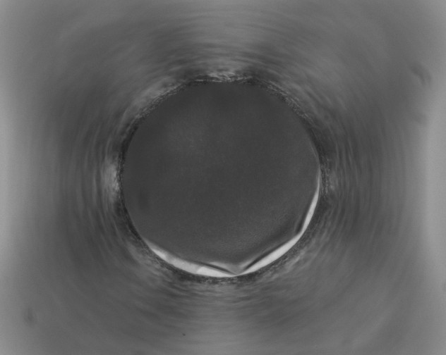 X0000113271106200910011422