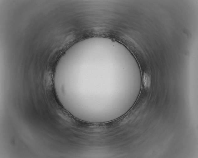 X0000113271107200910011422