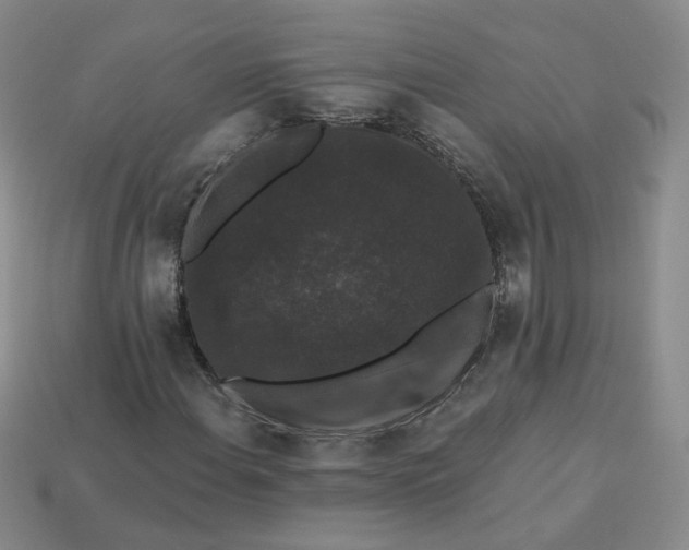 X0000113271108200910011422