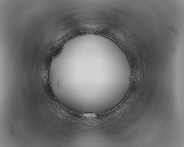 X0000113271109200910011422