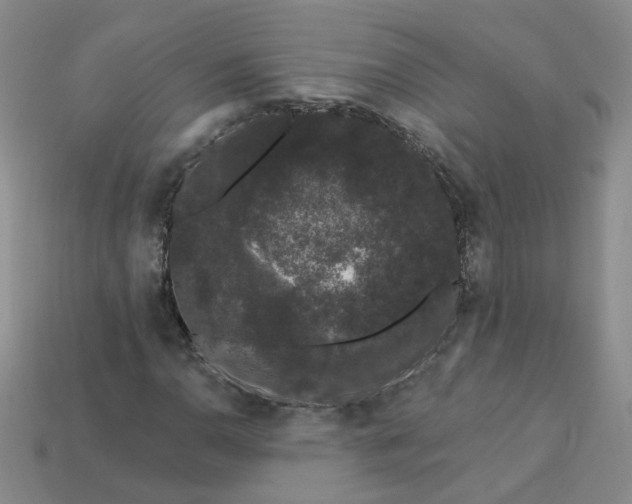 X0000113271110200910011422