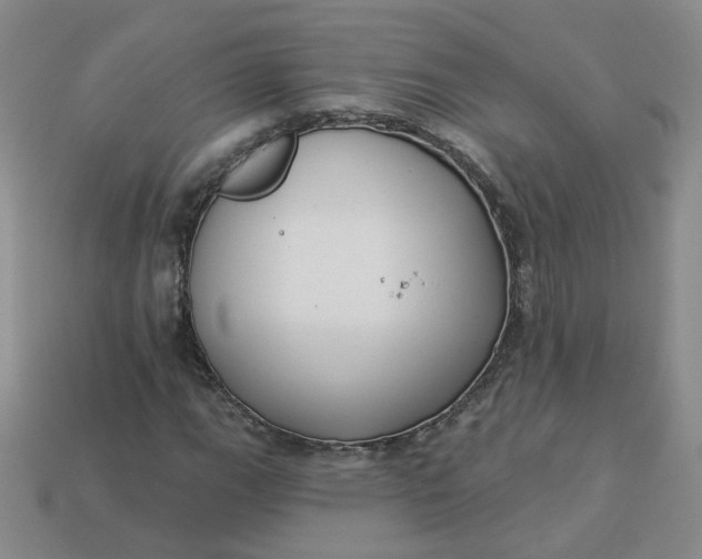 X0000113271111200910011422