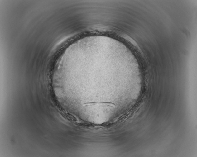 X0000113271112200910011422