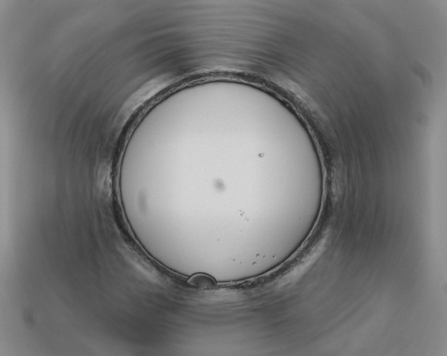 X0000113271113200910011422