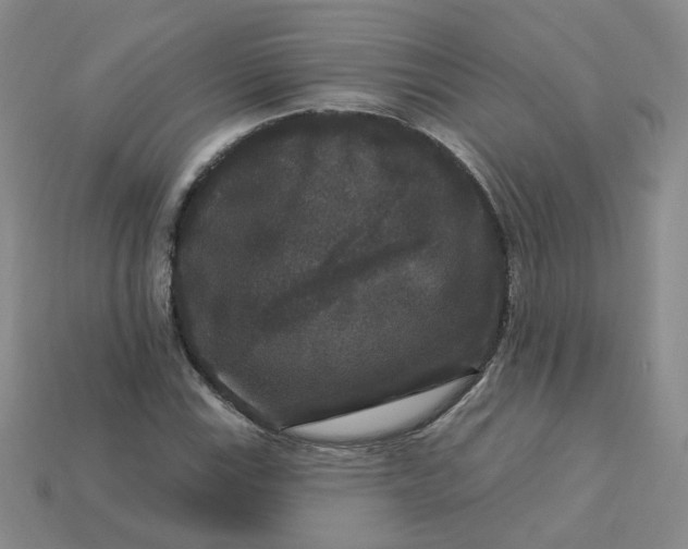 X0000113271115200910011422