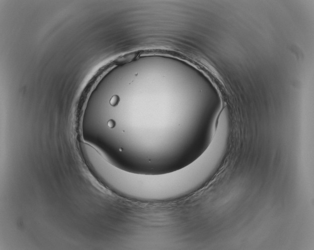 X0000113271116200910011422