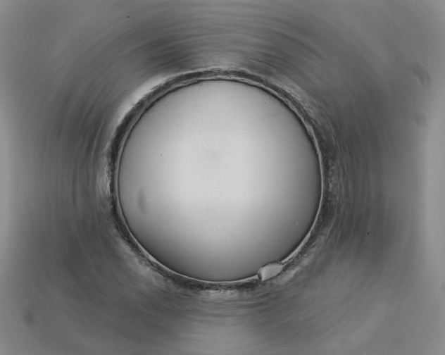 X0000113271118200910011422