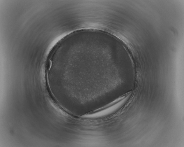 X0000113271120200910011422