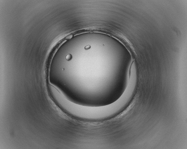 X0000113271122200910011422