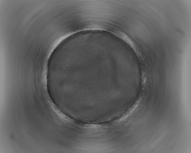 X0000113271124200910011422