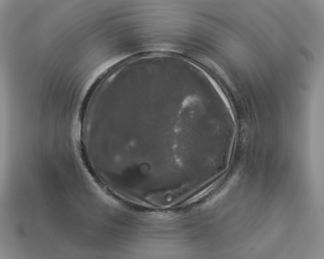 X0000113271125200910011422