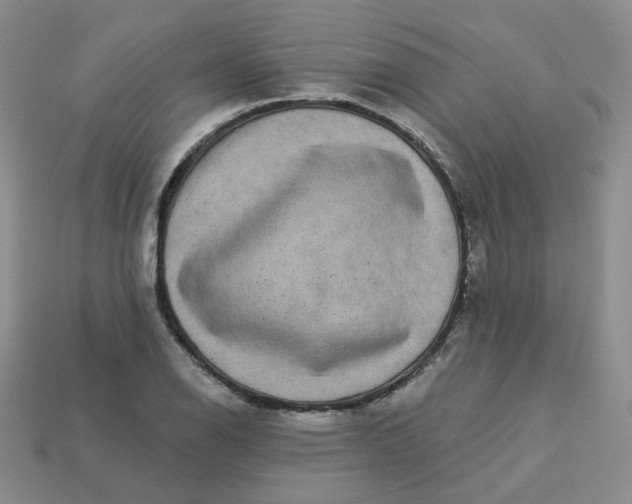 X0000113271126200910011422