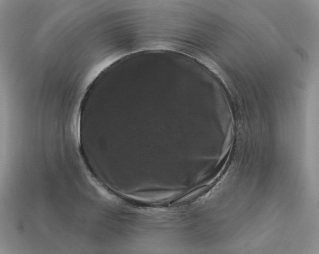 X0000113271127200910011422