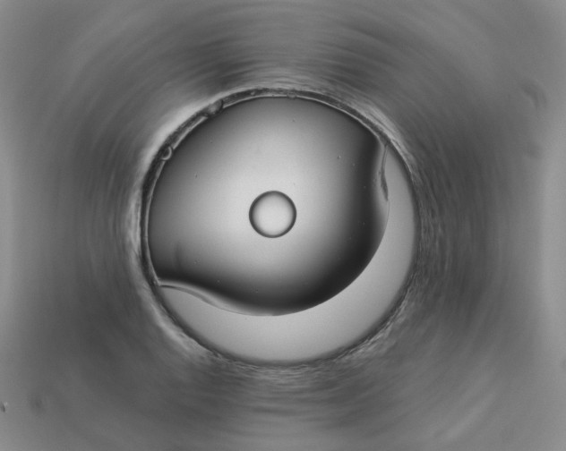 X0000113271128200910011422