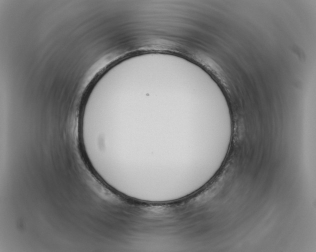 X0000113271130200910011422