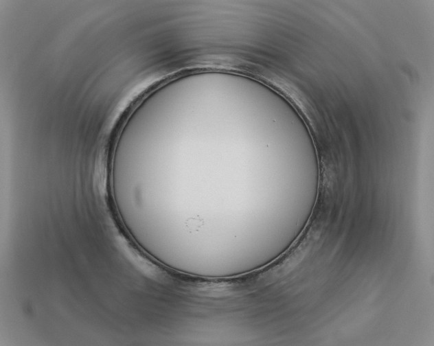 X0000113271131200910011422