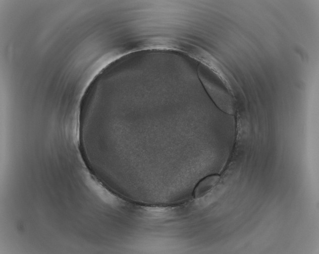 X0000113271132200910011422